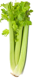 selderij
